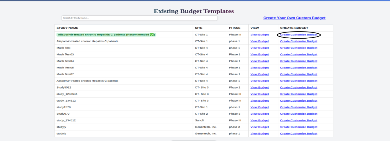 Budget Creation — Custom vs Template